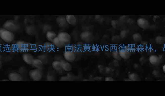 图片 🔥08赛季欧洲杯预选赛黑马对决：南法黄蜂VS西德黑森林，战术博弈与冷门🔥