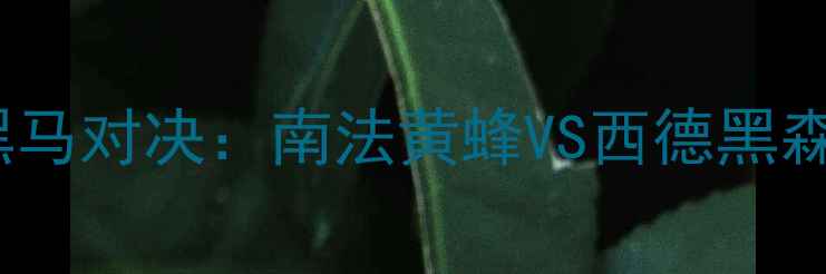 图片 🔥08赛季欧洲杯预选赛黑马对决：南法黄蜂VS西德黑森林，战术博弈与冷门🔥2
