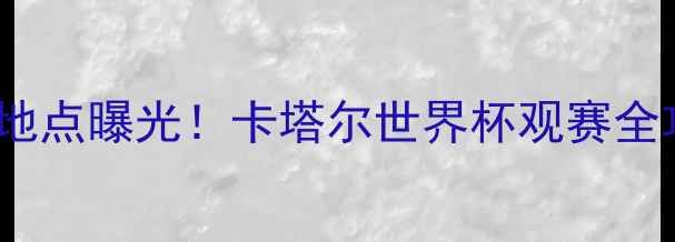 图片 🔥中国VS卡塔尔比赛地点曝光！卡塔尔世界杯观赛全攻略+交通住宿指南🔥
