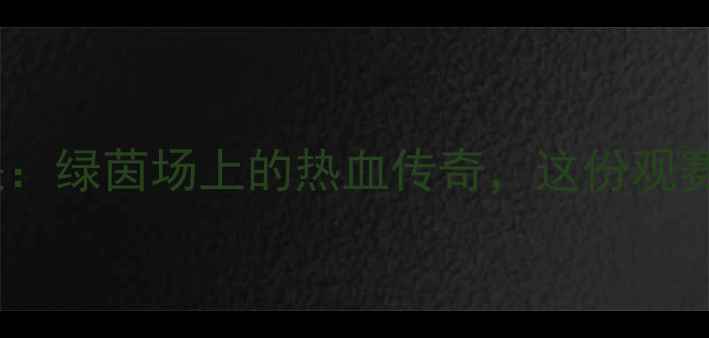 图片 🔥中国全运会男足巅峰对决：绿茵场上的热血传奇，这份观赛指南助你锁定高光时刻！1