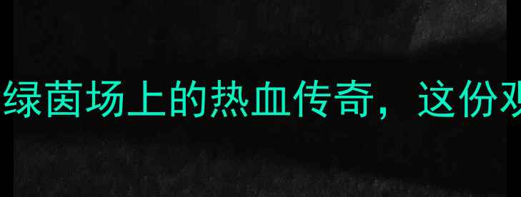 图片 🔥中国全运会男足巅峰对决：绿茵场上的热血传奇，这份观赛指南助你锁定高光时刻！2