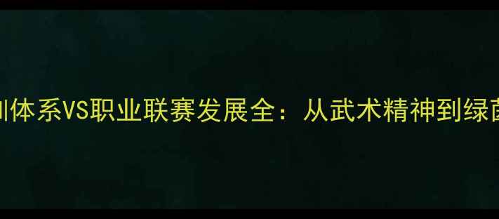 图片 🔥中国足球青训体系VS职业联赛发展全：从武术精神到绿茵场实战指南🔥