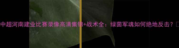 图片 🔥中超河南建业比赛录像高清集锦+战术全：绿茵军魂如何绝地反击？🔥1