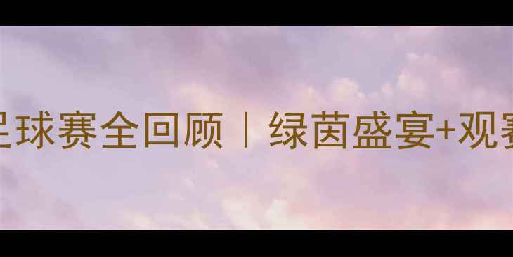 图片 🔥南京足球赛全回顾｜绿茵盛宴+观赛攻略🔥