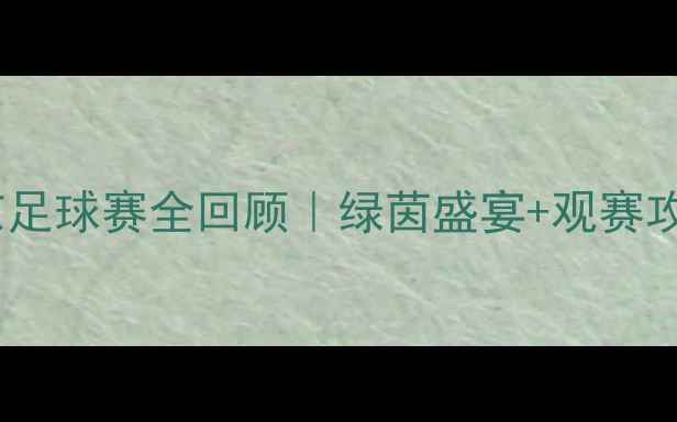图片 🔥南京足球赛全回顾｜绿茵盛宴+观赛攻略🔥2