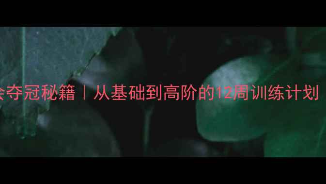 图片 🔥女子足球奥运会夺冠秘籍｜从基础到高阶的12周训练计划（附视频教程）🔥