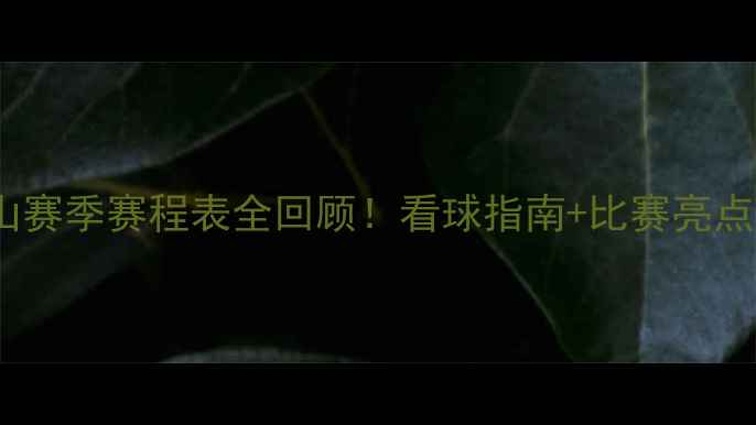 图片 🔥山东鲁能泰山赛季赛程表全回顾！看球指南+比赛亮点，球迷必看🔥1