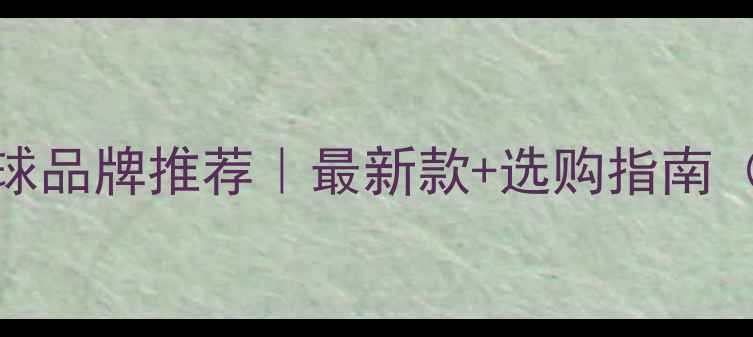 图片 🔥德甲比赛用球品牌推荐｜最新款+选购指南（附避坑技巧）