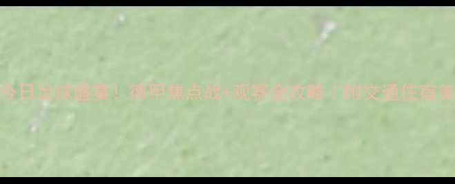 图片 🔥慕尼黑今日足球盛宴！德甲焦点战+观赛全攻略｜附交通住宿美食指南⚽