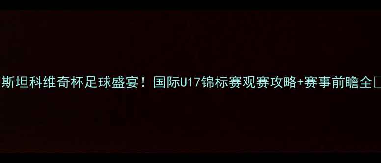 图片 🔥斯坦科维奇杯足球盛宴！国际U17锦标赛观赛攻略+赛事前瞻全🔥1