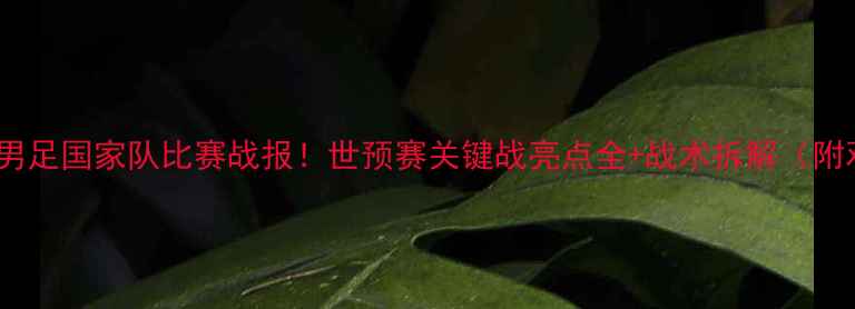图片 🔥最新中国男足国家队比赛战报！世预赛关键战亮点全+战术拆解（附观赛攻略）2