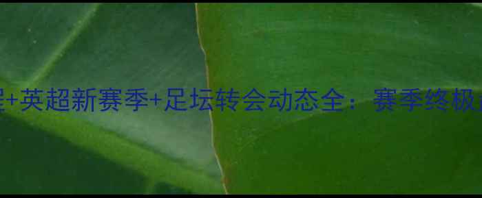图片 🔥欧洲杯赛程+英超新赛季+足坛转会动态全：赛季终极盘点与前瞻🔥