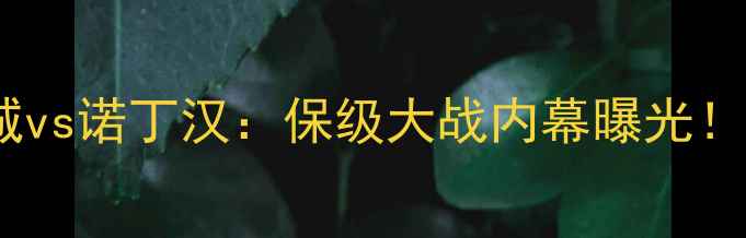 图片 🔥英冠焦点战！布城vs诺丁汉：保级大战内幕曝光！谁将逆袭冲超？🔥1
