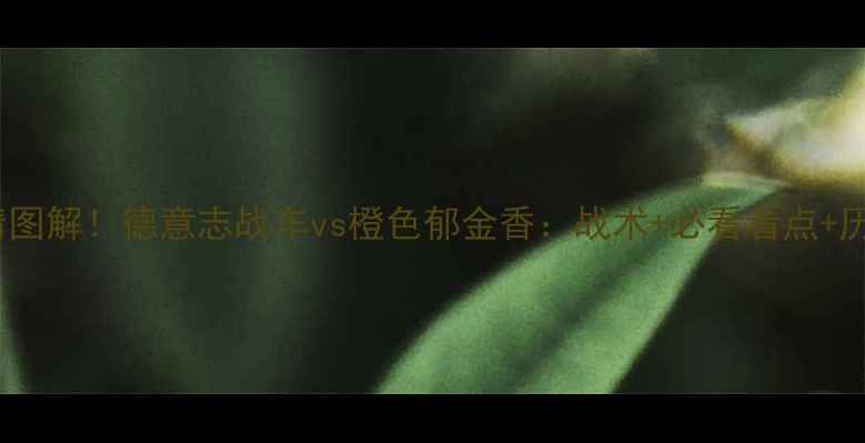 图片 🔥荷兰vs德国高清图解！德意志战车vs橙色郁金香：战术+必看看点+历史交锋全回顾🔥2