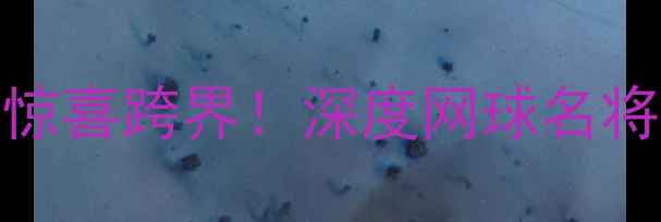 图片 🔥莎拉波娃北京中网期间惊喜跨界！深度网球名将足球公益赛背后的故事🌍