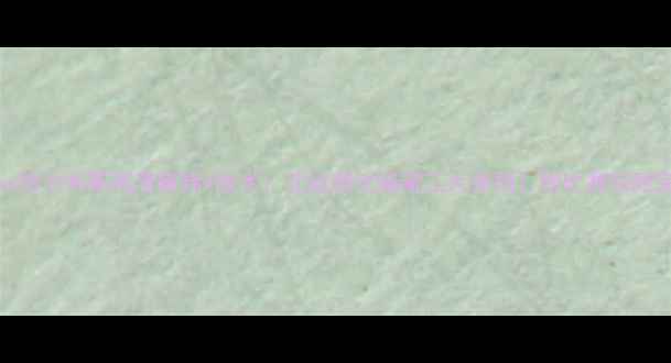 图片 🔥赫根vs哈尔姆斯高清集锦+战术：北欧德比暗藏三大杀招！附比赛回顾完整版🔥