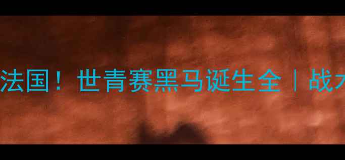 图片 🔥越南U20爆冷淘汰法国！世青赛黑马诞生全｜战术阵容数据深度复盘