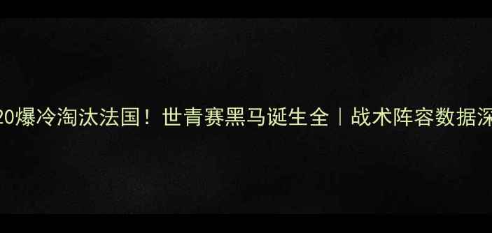 图片 🔥越南U20爆冷淘汰法国！世青赛黑马诞生全｜战术阵容数据深度复盘2