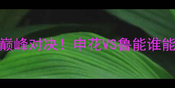 图片 🔥足协杯决赛巅峰对决！申花VS鲁能谁能问鼎王座？🔥