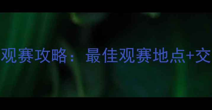 图片 上海国际足球邀请赛观赛攻略：最佳观赛地点+交通指南+周边美食全1