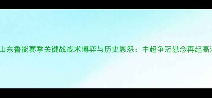 图片 上海申花vs山东鲁能赛季关键战战术博弈与历史恩怨：中超争冠悬念再起高清集锦+深度