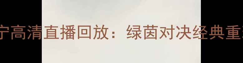 图片 上海申花vs江苏苏宁高清直播回放：绿茵对决经典重现战术与球迷记忆1