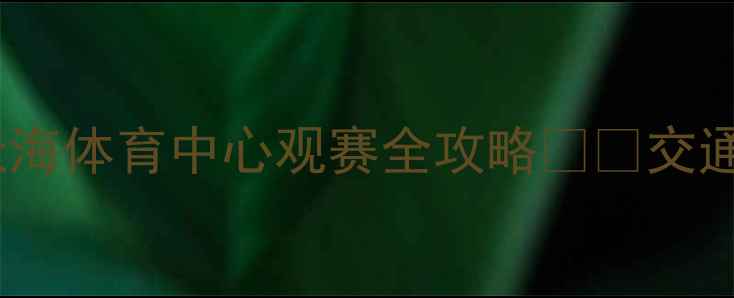 图片 上海申花亚冠天海体育中心观赛全攻略🏟️交通设施观赛贴士2