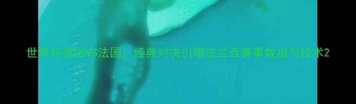 图片 世界杯德国VS法国：经典对决引爆法兰西赛事数据与技术2