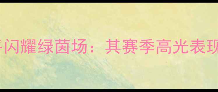 图片 中华虎杨建平闪耀绿茵场：其赛季高光表现与战术价值2