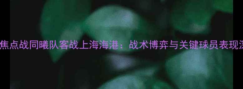 图片 中超焦点战同曦队客战上海海港：战术博弈与关键球员表现深度2