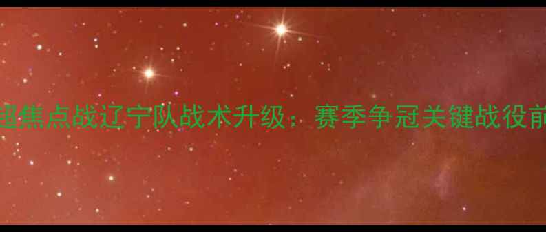 图片 中超焦点战辽宁队战术升级：赛季争冠关键战役前瞻