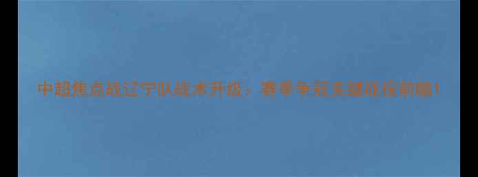 图片 中超焦点战辽宁队战术升级：赛季争冠关键战役前瞻1