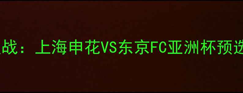 图片 中超焦点战：上海申花VS东京FC亚洲杯预选赛前瞻2