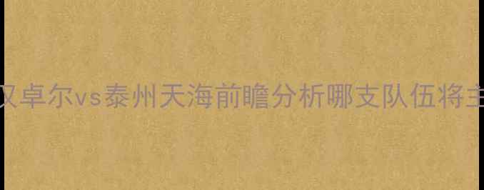 图片 中超焦点战：武汉卓尔vs泰州天海前瞻分析哪支队伍将主宰长江经济带？