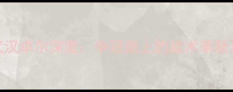 图片 中超赛季武汉卓尔深度：争冠路上的战术革新与关键战役