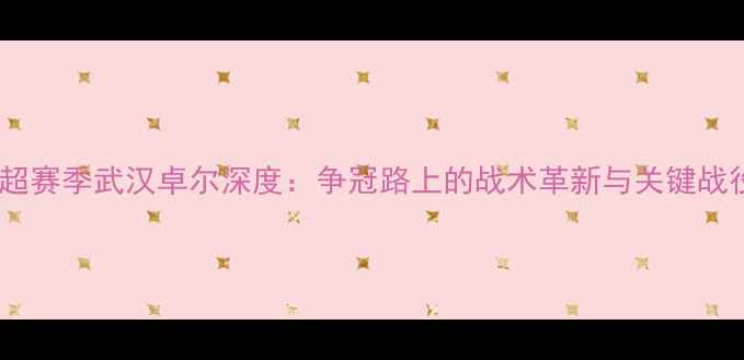 图片 中超赛季武汉卓尔深度：争冠路上的战术革新与关键战役1
