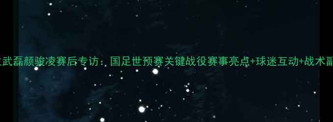 图片 主武磊颜骏凌赛后专访：国足世预赛关键战役赛事亮点+球迷互动+战术副1