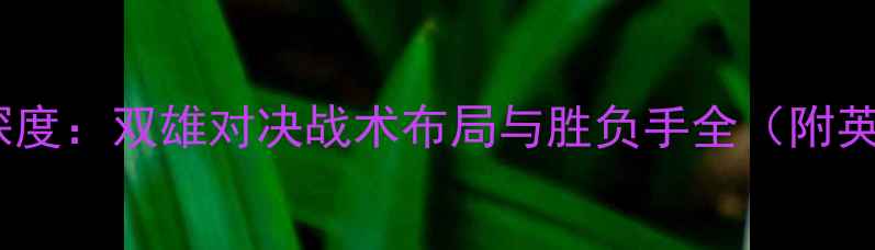 图片 伯恩利vs曼联深度：双雄对决战术布局与胜负手全（附英超最新战报）2