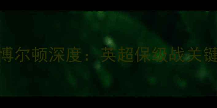 图片 伯明翰vs博尔顿深度：英超保级战关键战役前瞻