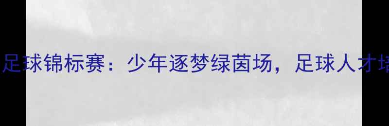 图片 全国青少年足球锦标赛：少年逐梦绿茵场，足球人才培养新标杆2