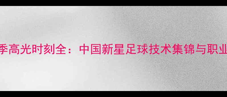 图片 刘书楠赛季高光时刻全：中国新星足球技术集锦与职业发展观察