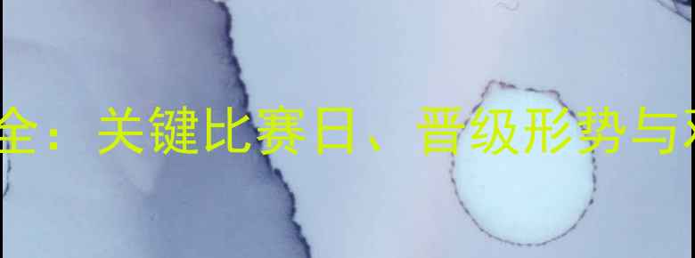 图片 利物浦欧联杯赛程时间表全：关键比赛日、晋级形势与观赛指南（附历史战绩）2