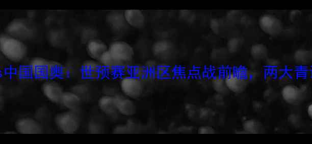图片 卡塔尔国奥vs中国国奥：世预赛亚洲区焦点战前瞻，两大青训强强对决！