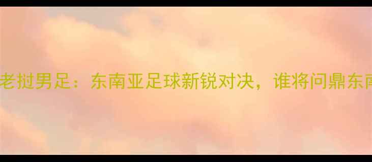 图片 印尼男足VS老挝男足：东南亚足球新锐对决，谁将问鼎东南亚杯？🏆1