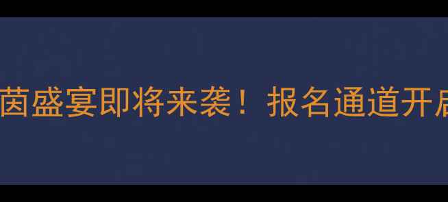 图片 厦门国际足球邀请赛：绿茵盛宴即将来袭！报名通道开启，解锁足球狂欢全攻略1