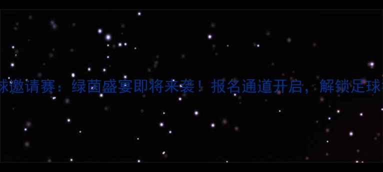 图片 厦门国际足球邀请赛：绿茵盛宴即将来袭！报名通道开启，解锁足球狂欢全攻略2