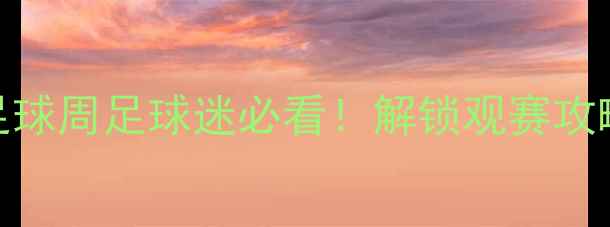 图片 合肥奥体中心国际足球周足球迷必看！解锁观赛攻略+周边打卡全指南2