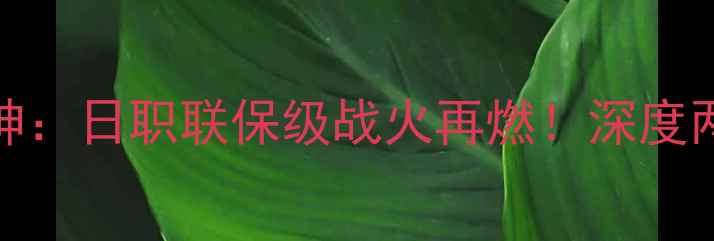 图片 名古屋鲸八vs大分三神：日职联保级战火再燃！深度两队争冠保级双线博弈