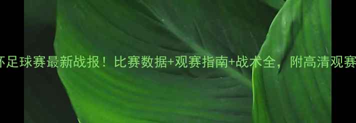 图片 和平杯足球赛最新战报！比赛数据+观赛指南+战术全，附高清观赛地图2