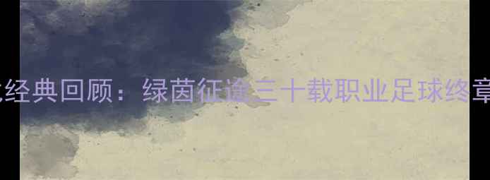 图片 大连实德谢幕战经典回顾：绿茵征途三十载职业足球终章里的城市情怀2